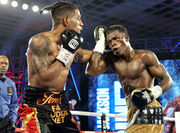 Комми отправил в нокаут Маринеса