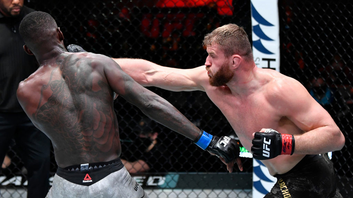 Фото. Лучшие удары ufc 259. Блахович, адесанья, ян, нуньес, махачев