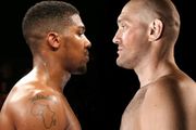 Бій Ф'юрі і Джошуа схвалений WBO. Усик зустрінеться з Джойсом