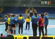 Украина – Швеция. Смотреть онлайн. LIVE трансляция