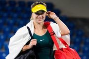 СТАХОВСЬКИЙ: «Світоліна багато зробила, щоб Україну більше знали в світі»
