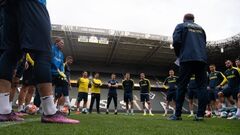 Петраков розповів про найближчі контрольні матчі збірної України