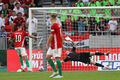 Венгрия – Англия – 1:0. Сенсационная победа. Видео гола и обзор матча