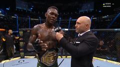 Адесанья и Волкановски с победами по очкам сохранили титулы чемпионов UFC