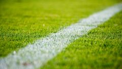 Плюсы и минусы у футбольного беттинга - ставки на футбол