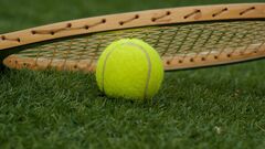 Почему так любят ставить на теннис: преимущество этого вида спорта и покры