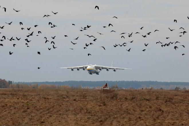 ВІДЕО. Ганьба армії Росії. Журналіст показав, як виглядає АН-225 Мрія