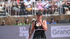 Свитолина выиграла турнир в Страсбурге! Элина обыграла Блинкову в финале