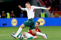 Евро-2024. Группа G. Болгария сыграла вничью с Сербией, победа Венгрии