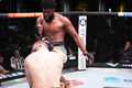 ВИДЕО. Коленом в голову. В главном бою UFC нигериец нокаутировал Куцелабу