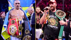 Бою за всі титули не буде. Ф'юрі знайшов привід не битися з Усиком