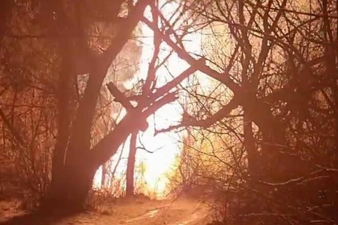 ВИДЕО. Бавовна. Пожар на газопроводе в оккупированной Луганской области