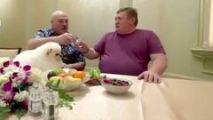 ВИДЕО. Усатый таракан и его пес накатили по 50г водки за Соболенко