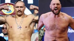 Часы тикают, установлен дедлайн. Усик отправил документы на подпись Фьюри