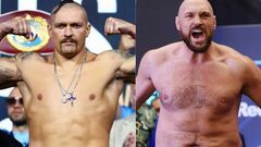 Промоутер Фьюри анонсировал важные новости по бою с Усиком