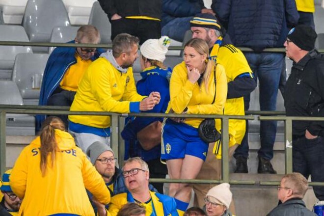 Бельгия – Швеция – 1:1. Матч прерван из-за теракта. Видео голов и обзор