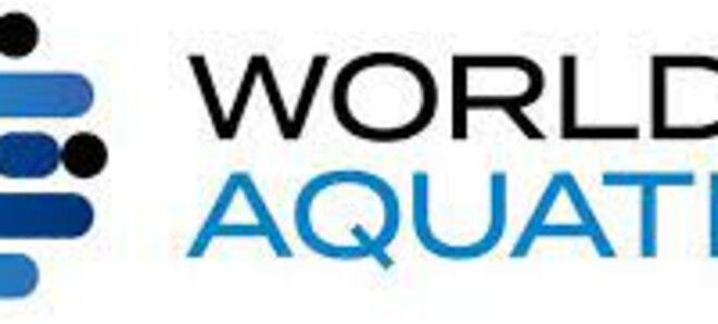 World Aquatics объявила критерии допуска россиян к соревнованиям