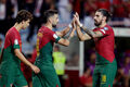 Португалия отгрузила 9 мячей Люксембургу, Исландия вырвала победу у Боснии