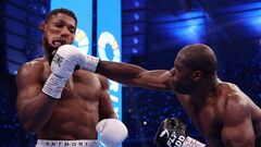 PHOTO. Joshua's face after the knockout and three knockdowns in the megafight with Dubois