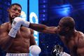 PHOTO. Joshua's face after the knockout and three knockdowns in the megafight with Dubois