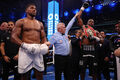 VIDEO. Words of Joshua and Dubois after the fight