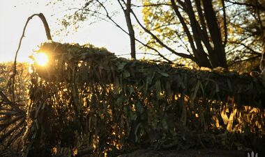 Новая партия «200-х» окупантов. ВСУ обновили данные потерь армии рф