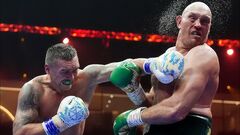 Davis told what Fury told him after the knockdown from Usyk in the 9th round