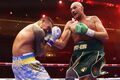 Malignaggi gave Tyson a way to win the Usyk-Fury rematch