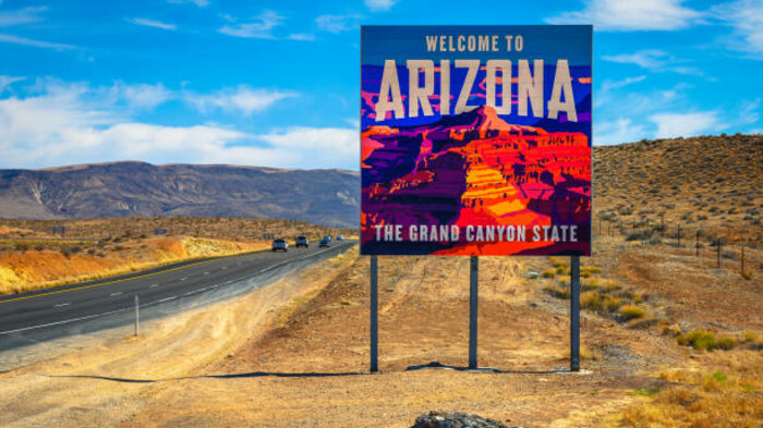 Аризона повідомляє про рекордні доходи від ставок на спорт