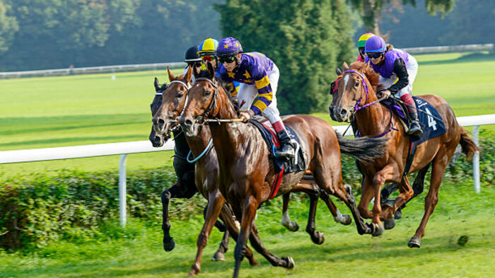 Уряд Квінсленду переглядає фінансування індустрії перегонів