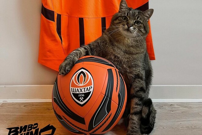 Несподіване підсилення для Шахтаря. Степан приєднався до гірників