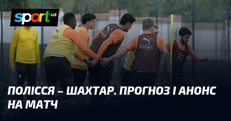 Полісся викликає на поєдинок Шахтаря: Огляд та прогнози напередодні матчу.