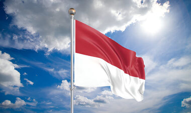 Індонезія заморожує мільйони в боротьбі з онлайн-ставками