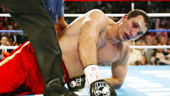 Could not get up. Klitschko told what happened in the scandalous fight with Brewster