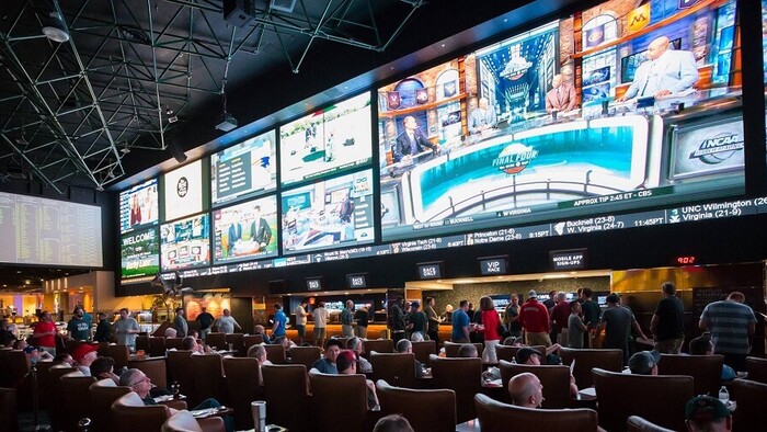 Ставки на спорт – это наркотик. Как компании доводят людей до лудомании