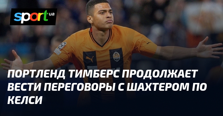 Портленд тимберс прогноз. Портленд тимберс прогноз