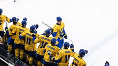 U-20 World Cup of Hockey. The national team of Ukraine dealt with Poland