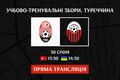Заря – Шкендия. Смотреть онлайн. LIVE трансляция