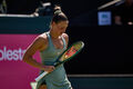 Жеребьевка WTA 500 в Вашингтоне. Костюк будет сеяной. С кем сыграет Марта?