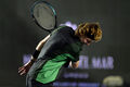 Рублев вылетел. Определены финалисты турнира ATP 250 в Лос-Кабосе