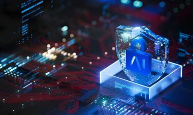 Полиция Гоа в Индии заблокировала более 670 фальшивых сайтов