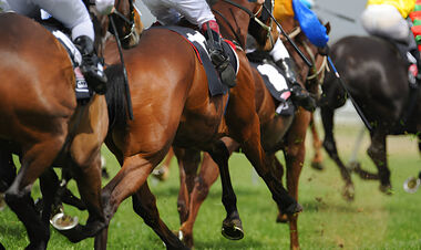 Индустрия скачек Великобритании объединяется против налоговой реформы