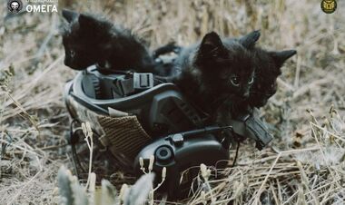 Знищення окупантів триває. ЗСУ оновили дані втрат армії рф