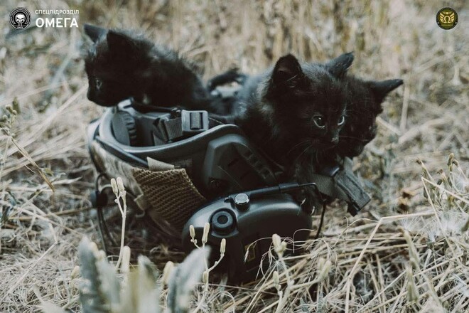 Знищення окупантів триває. ЗСУ оновили дані втрат армії рф