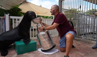 Генменеджер Флориды накормил тюленей из Кубка Стэнли