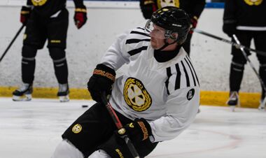 В Швеции возобновляет карьеру звезда НХЛ. Он выигрывал Кубок Стэнли