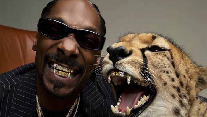 ВИДЕО. Снуп Догга эпично поприветствовали в Чемпионшипе