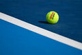 Винус и другие: определены все обладатели wild card на US Open 2025