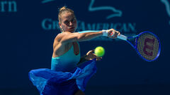 Kostyuk spends the 250th week in the TOP-100 WTA ranking. How much do Svitolina