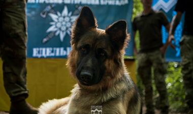 Уничтожение оккупантов продолжается. ВСУ обновили данные потерь армии рф